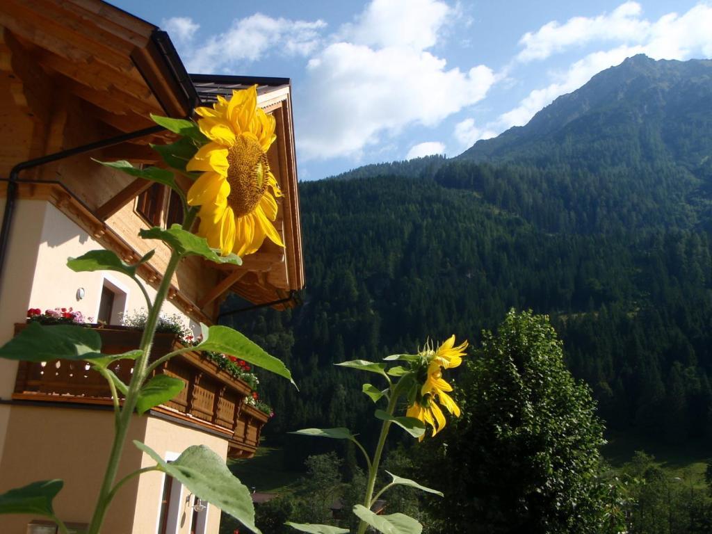 Arche Hof Oebristhof Apartment Kleinarl Exterior photo
